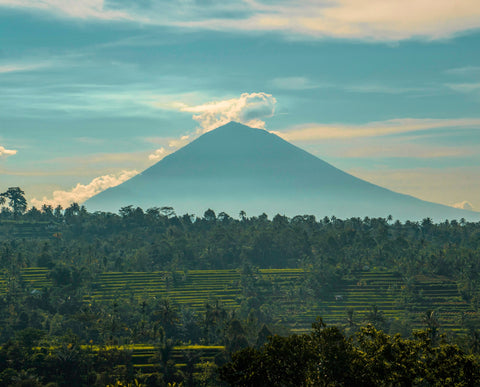 esim indonesia