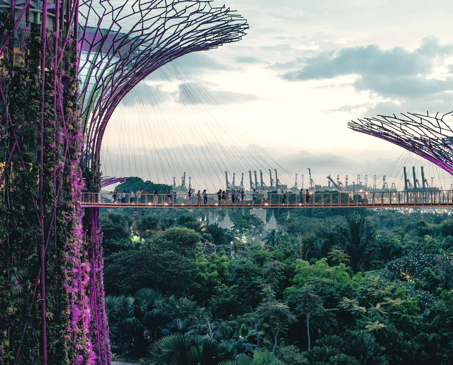eSIM Singapore