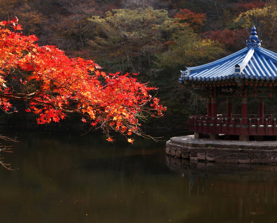 eSIM South Korea